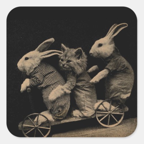 Vintage Kitten and Bunny Funny photo Square Sticker