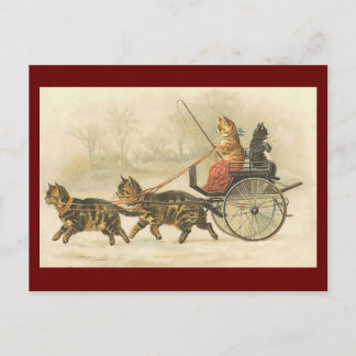 Vintage kitten coach postcard
