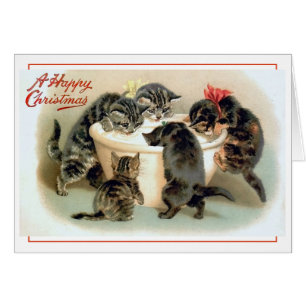 Vintage Kitten Fun Cards
