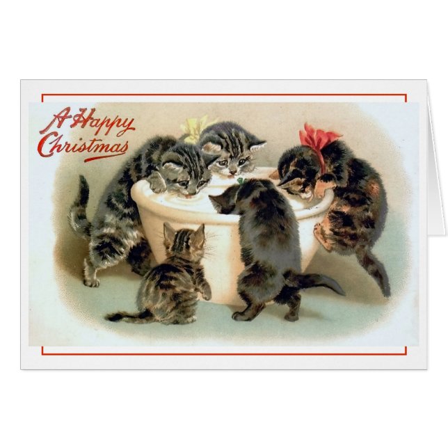 Vintage Kitten Fun Cards (Front Horizontal)
