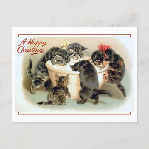 Vintage Kitten Fun Postcard
