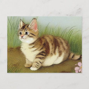 Vintage Kitten Illustration with Flowers Postcard