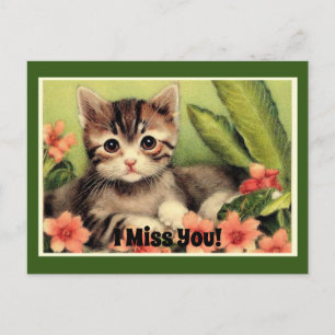 Vintage Kitten In Flowers Postcard