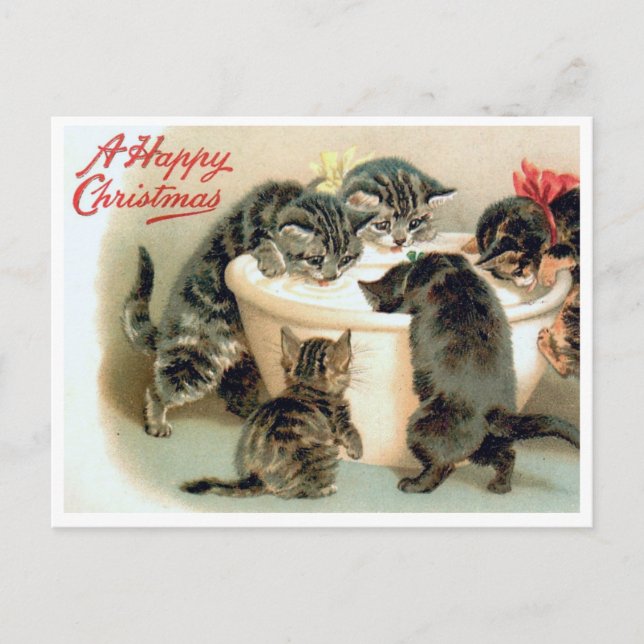 Vintage Kitten Postcard - Cute Christmas Cats  (Front)