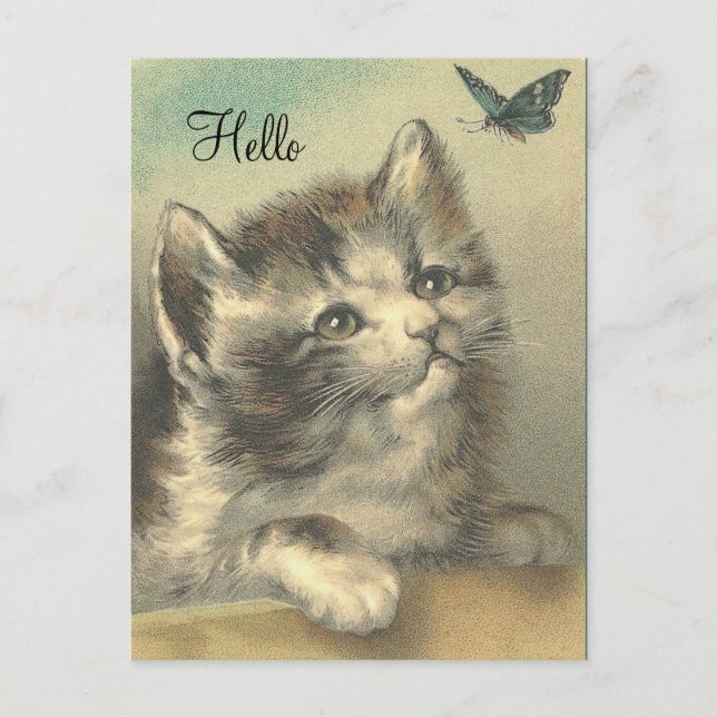 Vintage Kitten watching Butterfly - Post Card (Front)