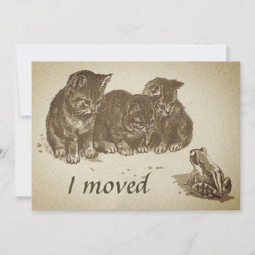 Vintage Kittens and Frog I Moved Change of Address Card