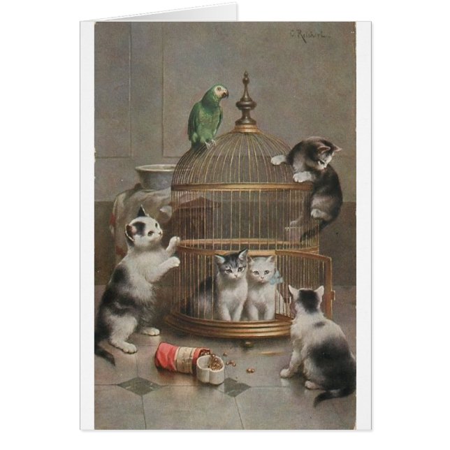 Vintage - Kittens and Parrot, (Front)