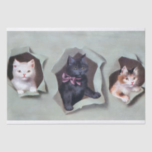 Vintage kittens breaking through gift wrap cute tissue paper