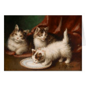 Vintage Kittens by Jules Gustave LeRoy (Front Horizontal)