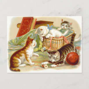 Vintage Kittens Having Fun Postcard