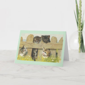 Vintage Kittens on Fence Note Card