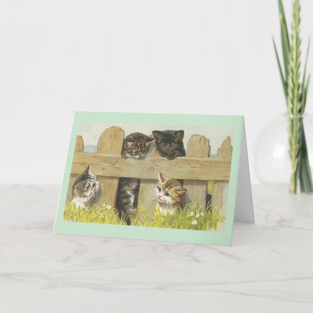 Vintage Kittens on Fence Note Card (Front)