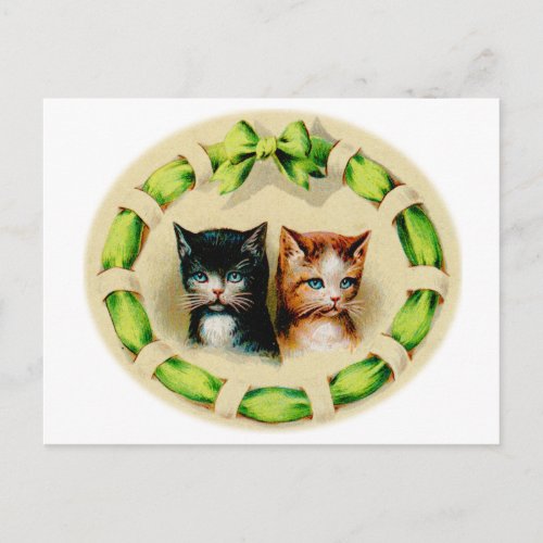 Vintage Kittens Two Adorable Kitties Postcard