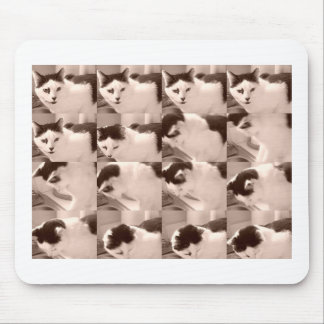 Vintage Kitty Cat/Black & White Photo Mouse Pad