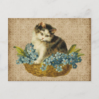 vintage kitty in basket postcard