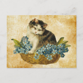 vintage kitty in basket postcard