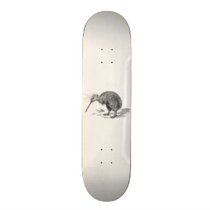 Vintage Kiwi Bird Antique Birds Template Skateboard Deck