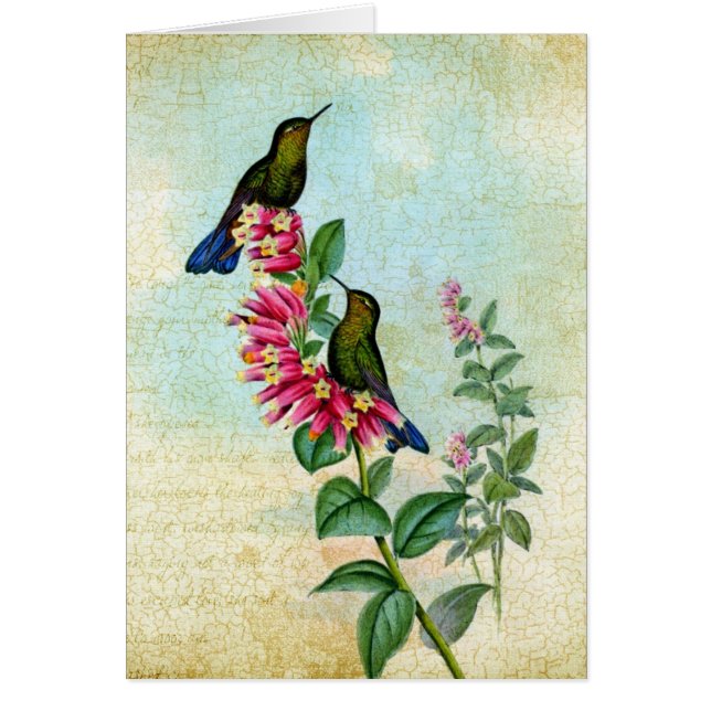 Vintage Kolibris, Gute Besserung Cards (Front)