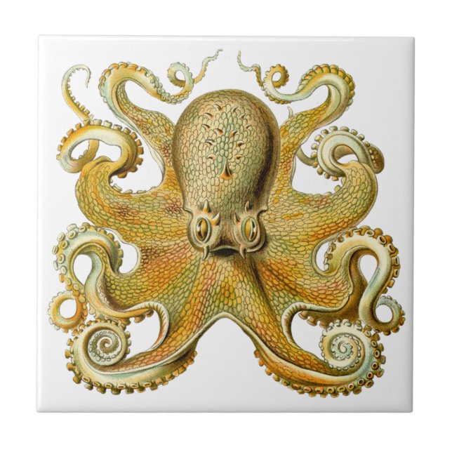 Vintage Kraken, Octopus Gamochonia, Ernst Haeckel Ceramic Tile (Front)