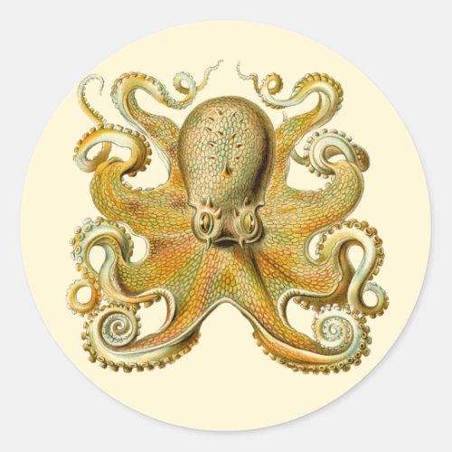 Vintage Kraken Octopus Gamochonia Ernst Haeckel Classic Round Sticker