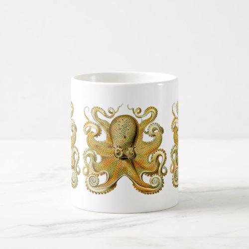 Vintage Kraken Octopus Gamochonia Ernst Haeckel Coffee Mug