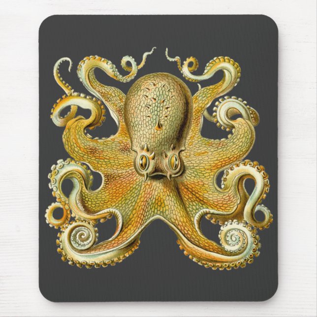 Vintage Kraken, Octopus Gamochonia, Ernst Haeckel Mouse Pad (Front)