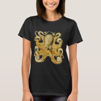 Vintage Kraken  Octopus Gamochonia  Ernst Haeckel T-shirt by Ernst_Haeckel_Art at Zazzle
