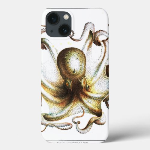 Vintage kraken octopus nautical steampunk antique iPhone 13 case