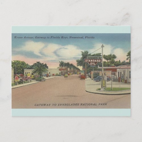 Vintage Krome Avenue Homestead Florida Postcard