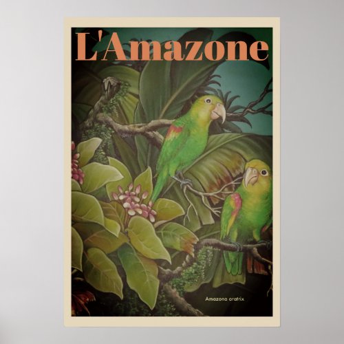 Vintage L Amazone Travel Poster