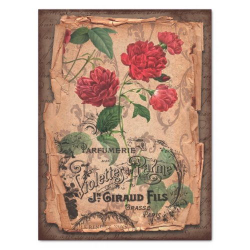 Vintage Label  Illustrations Shabby Chic Tissue Paper