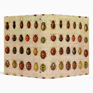 Vintage Ladybug Specimen Pattern Antique Insect 3 Ring Binder