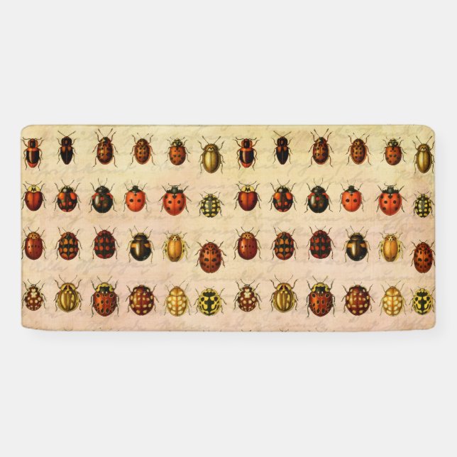 Vintage Ladybug Specimen Pattern Antique Insect Banner (Horizontal)