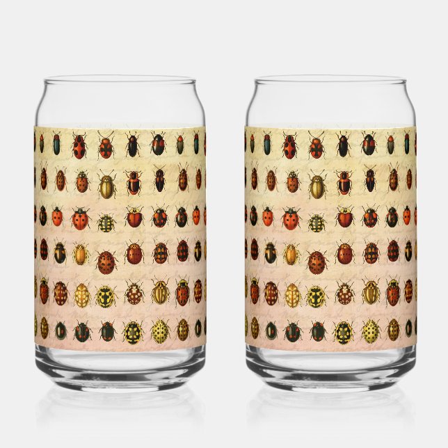 Vintage Ladybug Specimen Pattern Antique Insect Can Glass (Front)