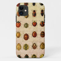 Vintage Ladybug Specimen Pattern Antique Insect