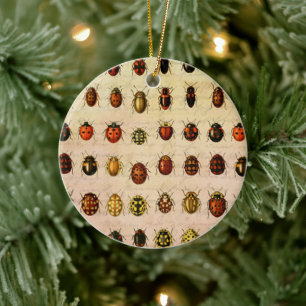 Vintage Ladybug Specimen Pattern Antique Insect Ceramic Ornament