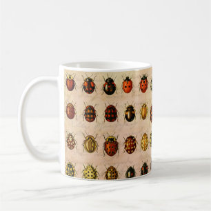 Vintage Ladybug Specimen Pattern Antique Insect Coffee Mug