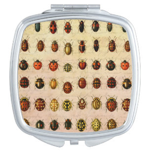 Vintage Ladybug Specimen Pattern Antique Insect Compact Mirror