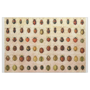 Vintage Ladybug Specimen Pattern Antique Insect Fabric