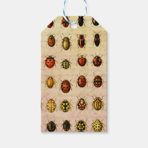 Vintage Ladybug Specimen Pattern Antique Insect Gift Tags