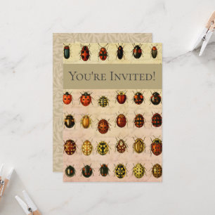 Vintage Ladybug Specimen Pattern Antique Insect Invitation