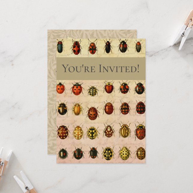 Vintage Ladybug Specimen Pattern Antique Insect Invitation (Front/Back In Situ)