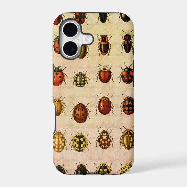 Vintage Ladybug Specimen Pattern Antique Insect Iphone Case (Back)