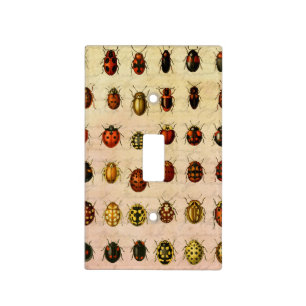Vintage Ladybug Specimen Pattern Antique Insect Light Switch Cover