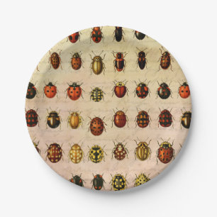 Vintage Ladybug Specimen Pattern Antique Insect Paper Plates