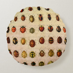 Vintage Ladybug Specimen Pattern Antique Insect Round Pillow