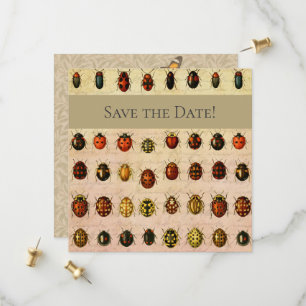 Vintage Ladybug Specimen Pattern Antique Insect Save The Date