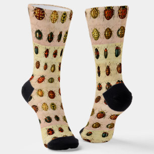 Vintage Ladybug Specimen Pattern Antique Insect Socks