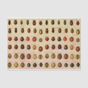 Vintage Ladybug Specimen Pattern Antique Insect Tissue Paper