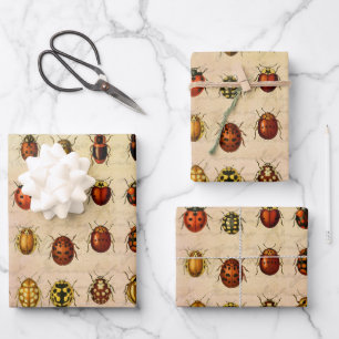 Vintage Ladybug Specimen Pattern Antique Insect Wrapping Paper Sheets